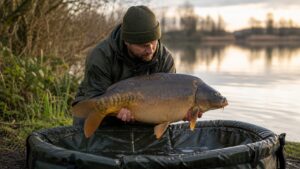 Carp fishing scene for How to Catch common carp: A Complete Angler Guide