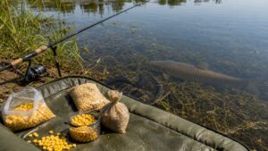 Carp fishing scene for Best Baits for grass carp: What Works in Real Fishing Conditions