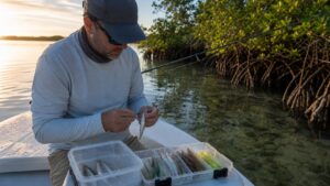 Inshore Favorites fishing scene for Best Baits for snook: What Works in Real Fishing Conditions